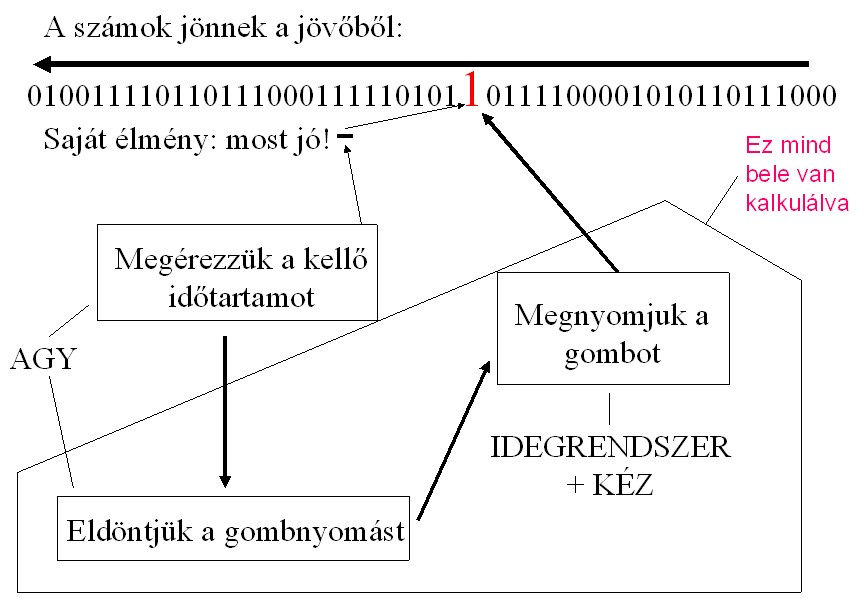 prekognitív időzítés